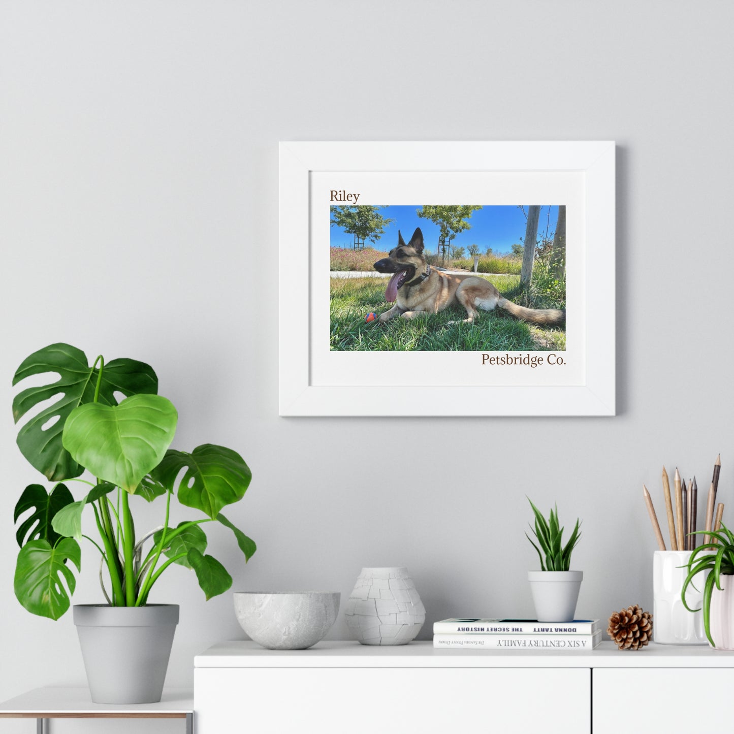 Memorable Horizontal Pet Portraits