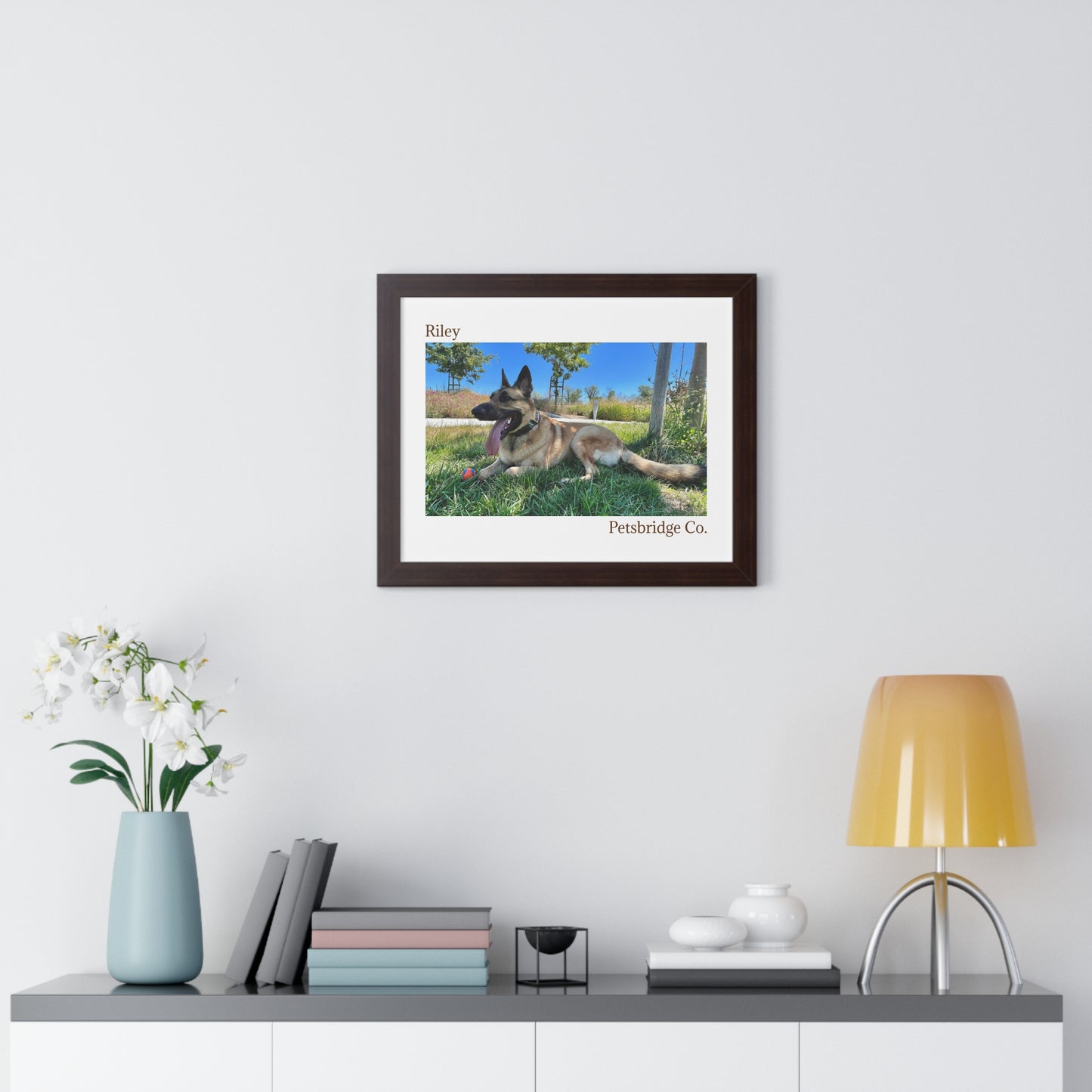 Memorable Horizontal Pet Portraits