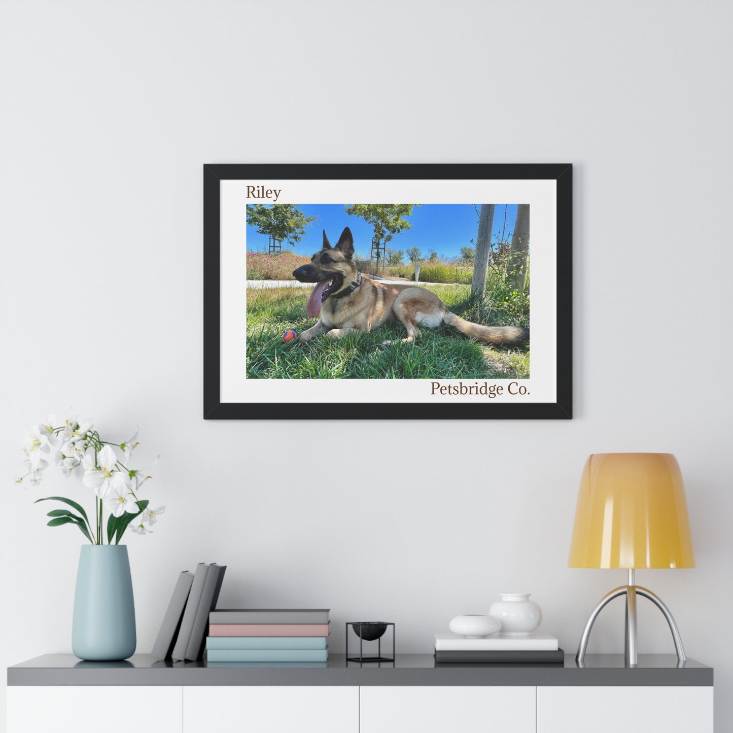 Memorable Horizontal Pet Portraits
