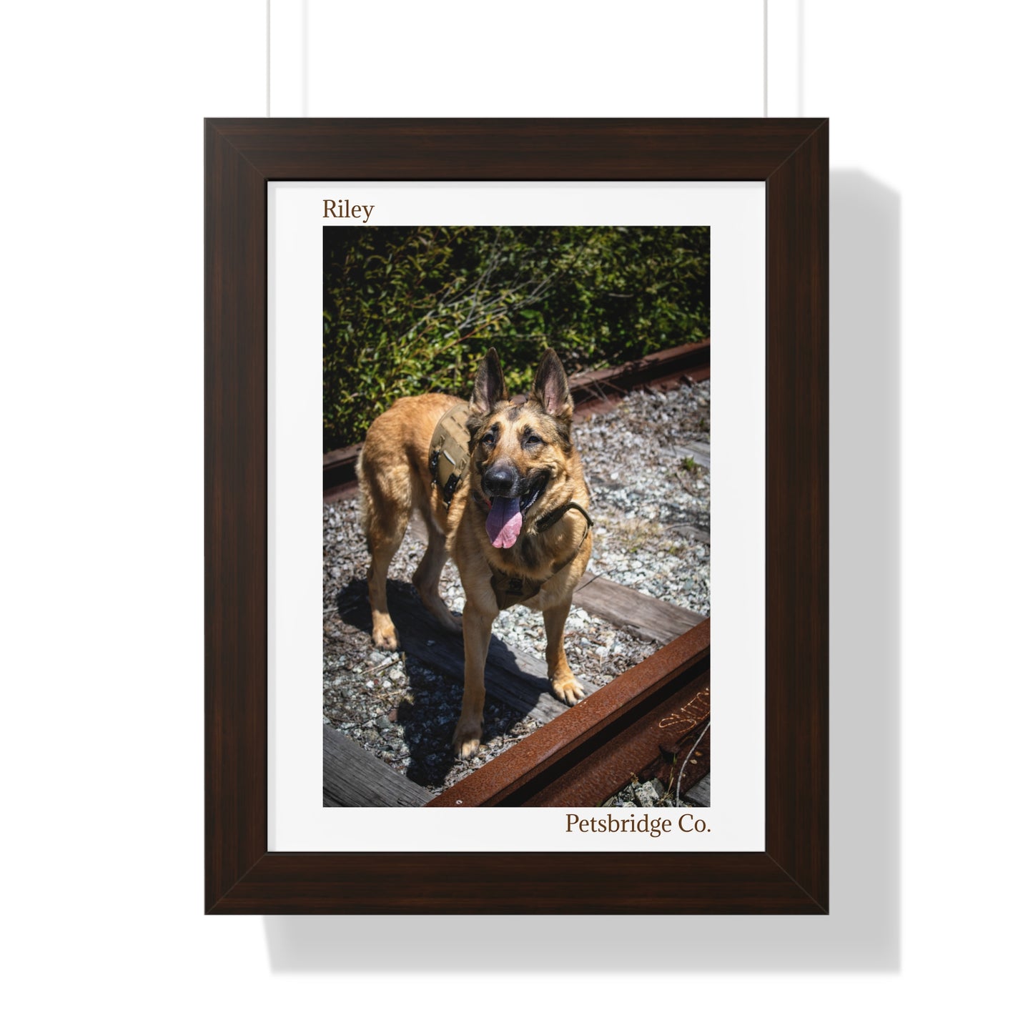 Memorable Vertical Pet Portrait