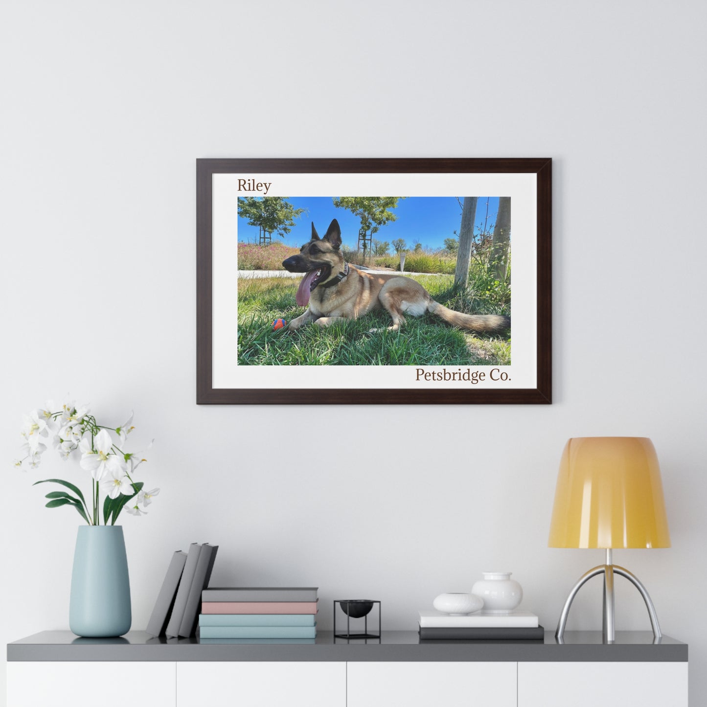 Memorable Horizontal Pet Portraits