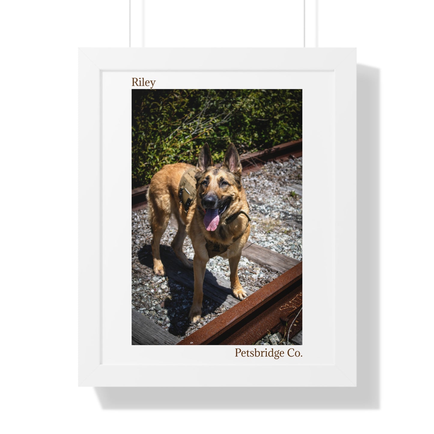 Memorable Vertical Pet Portrait
