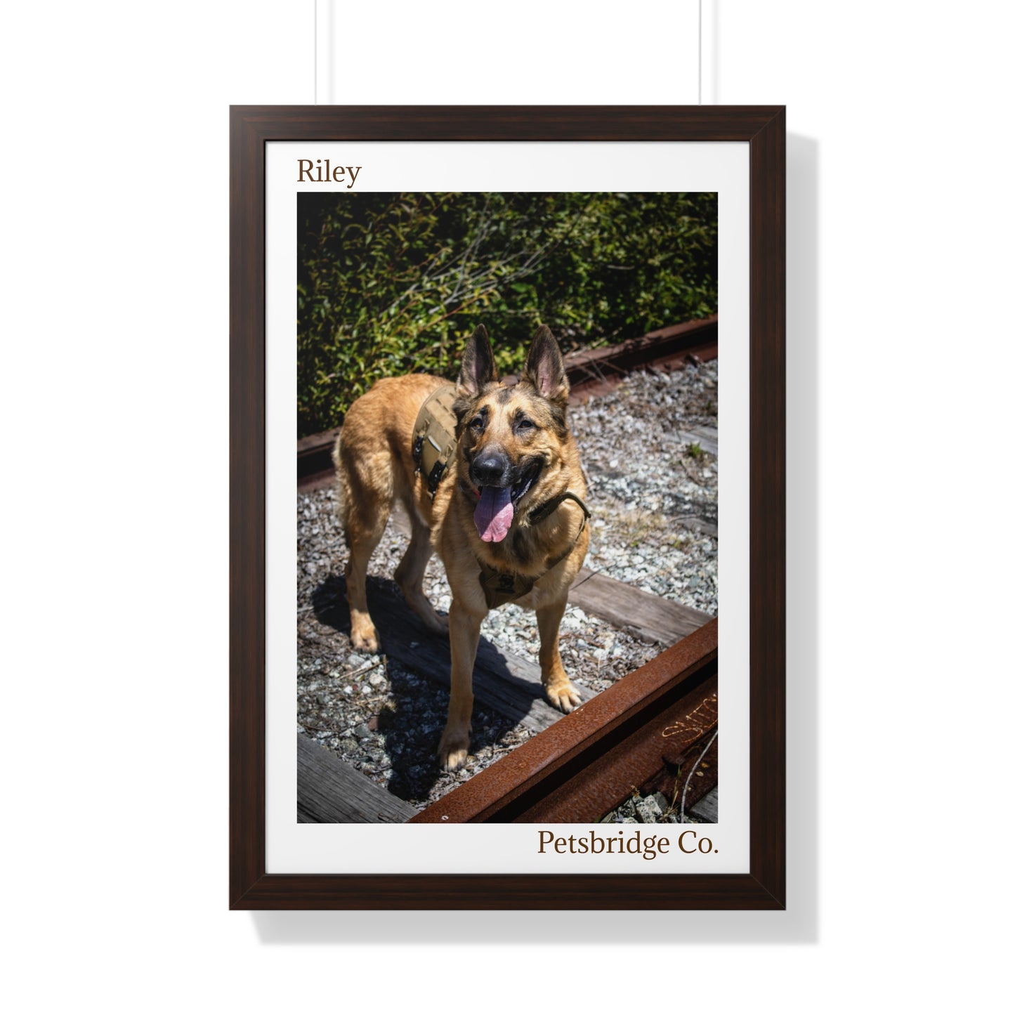 Memorable Vertical Pet Portrait