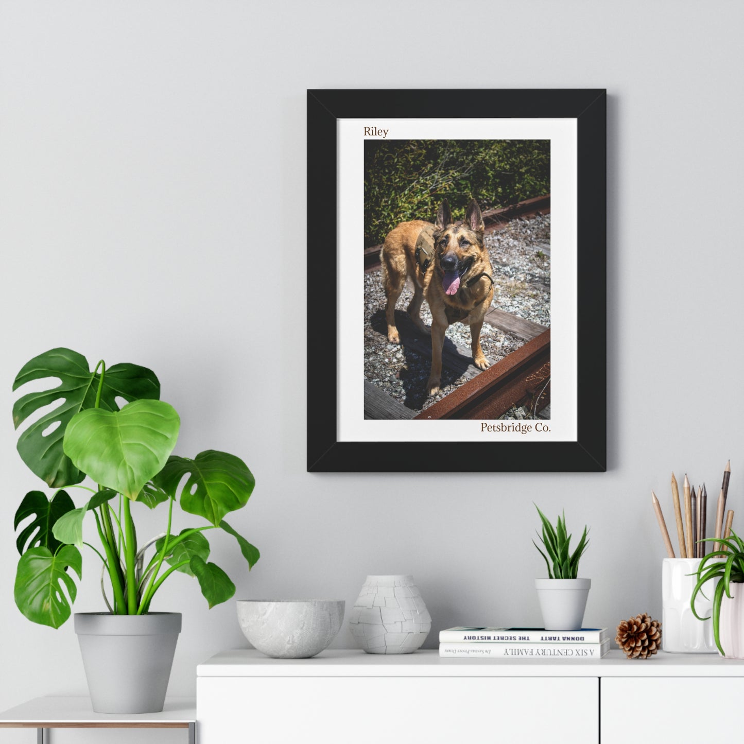 Memorable Vertical Pet Portrait