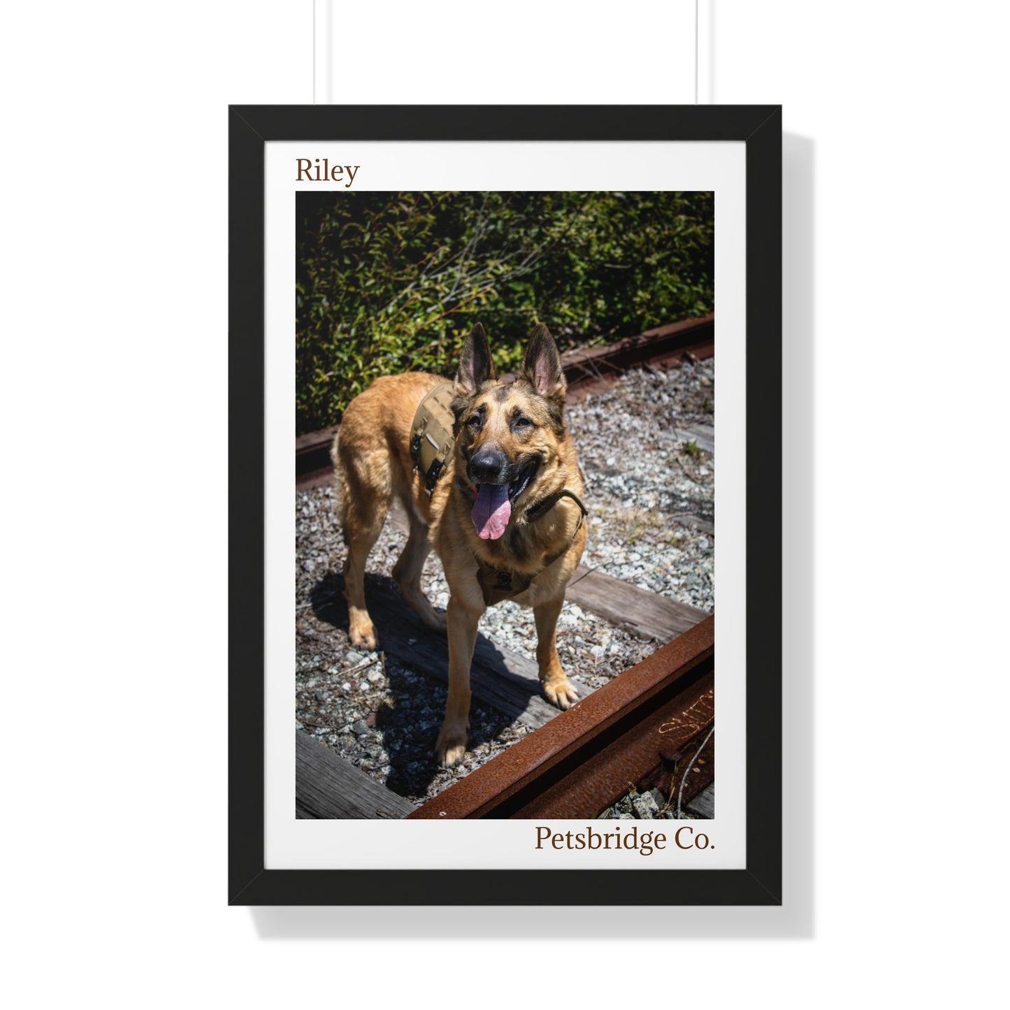 Memorable Vertical Pet Portrait
