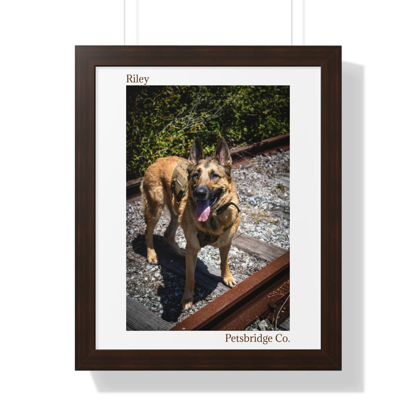 Memorable Vertical Pet Portrait
