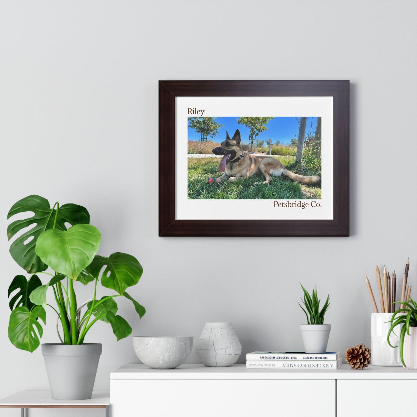 Memorable Horizontal Pet Portraits