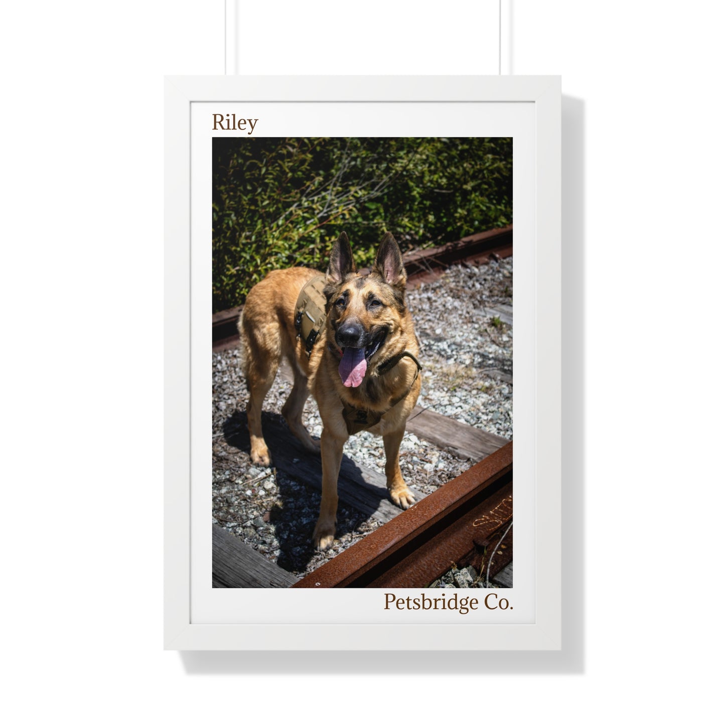 Memorable Vertical Pet Portrait
