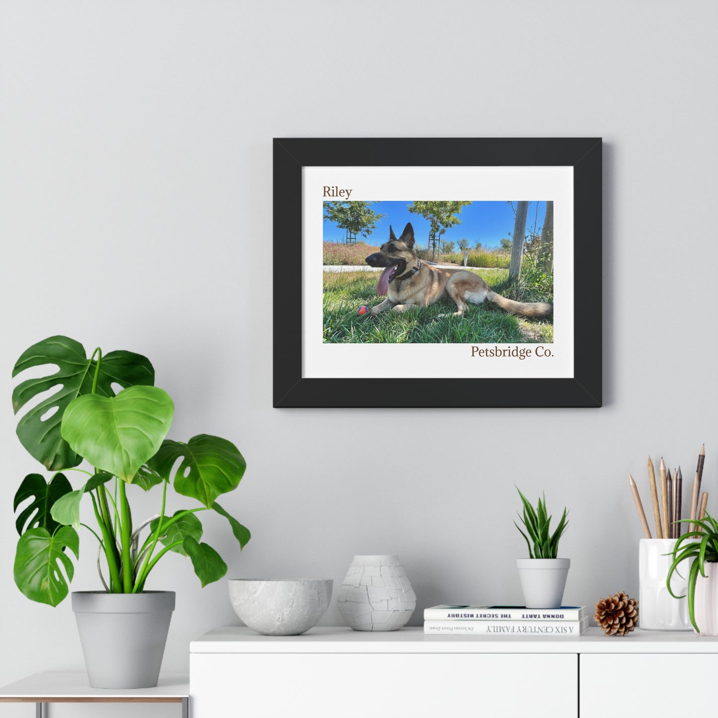 Memorable Horizontal Pet Portraits