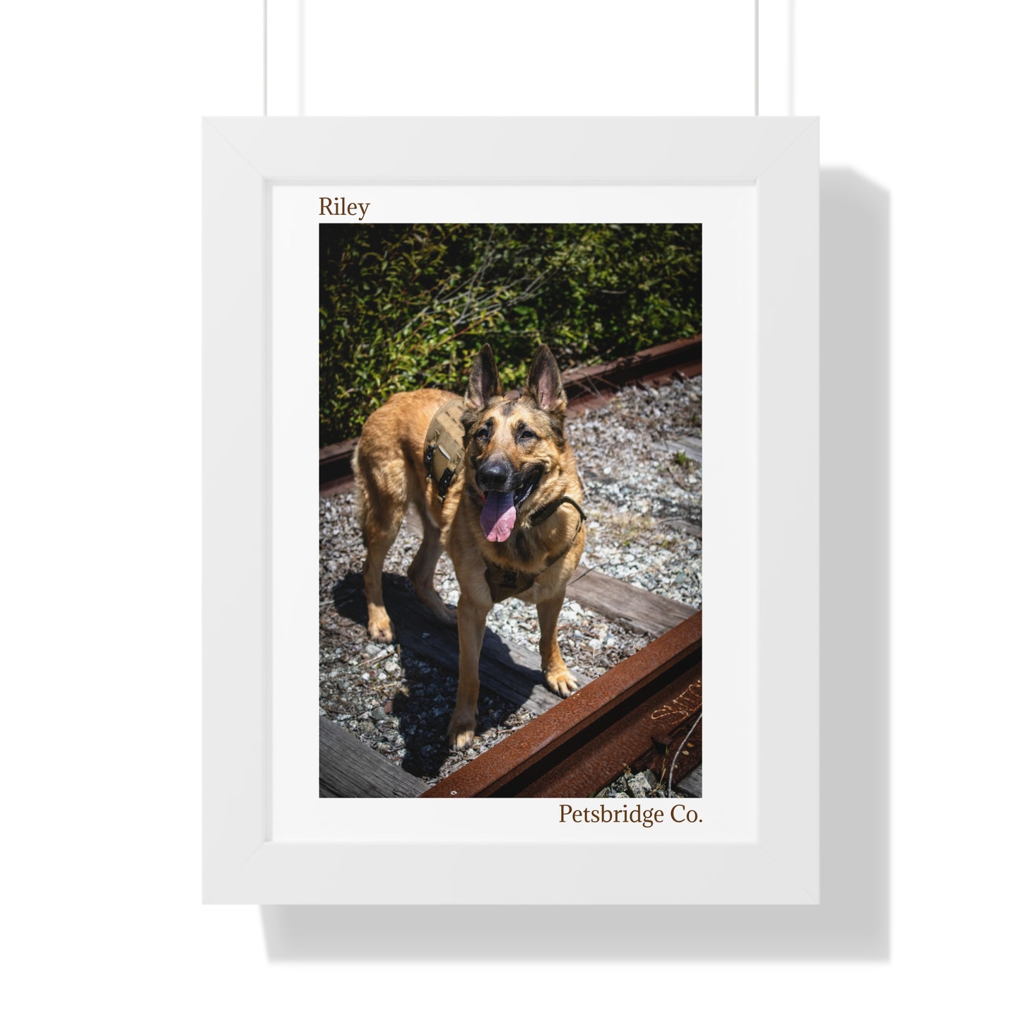 Memorable Vertical Pet Portrait