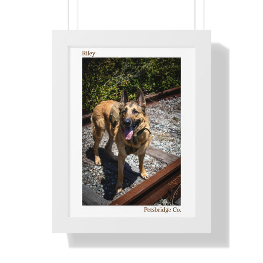 Memorable Vertical Pet Portrait
