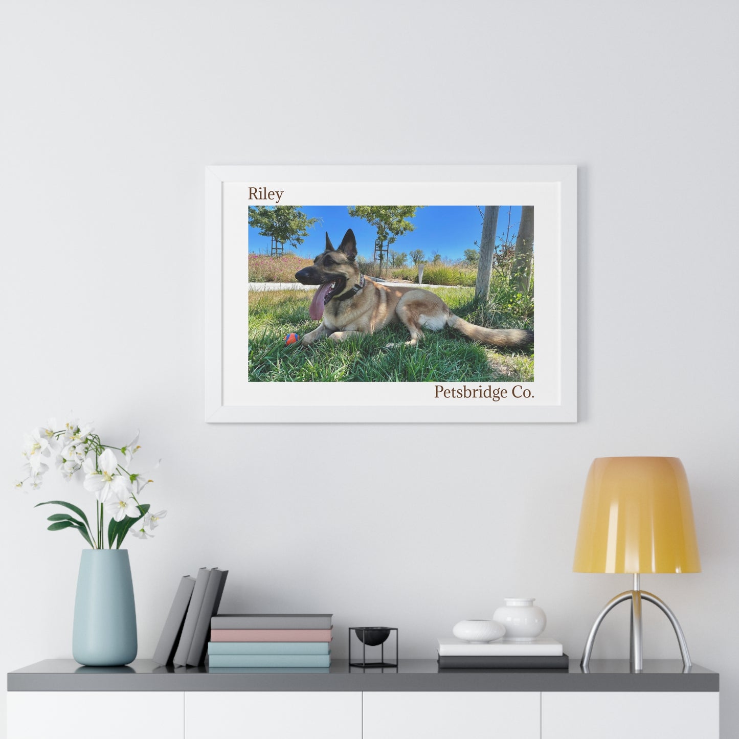 Memorable Horizontal Pet Portraits