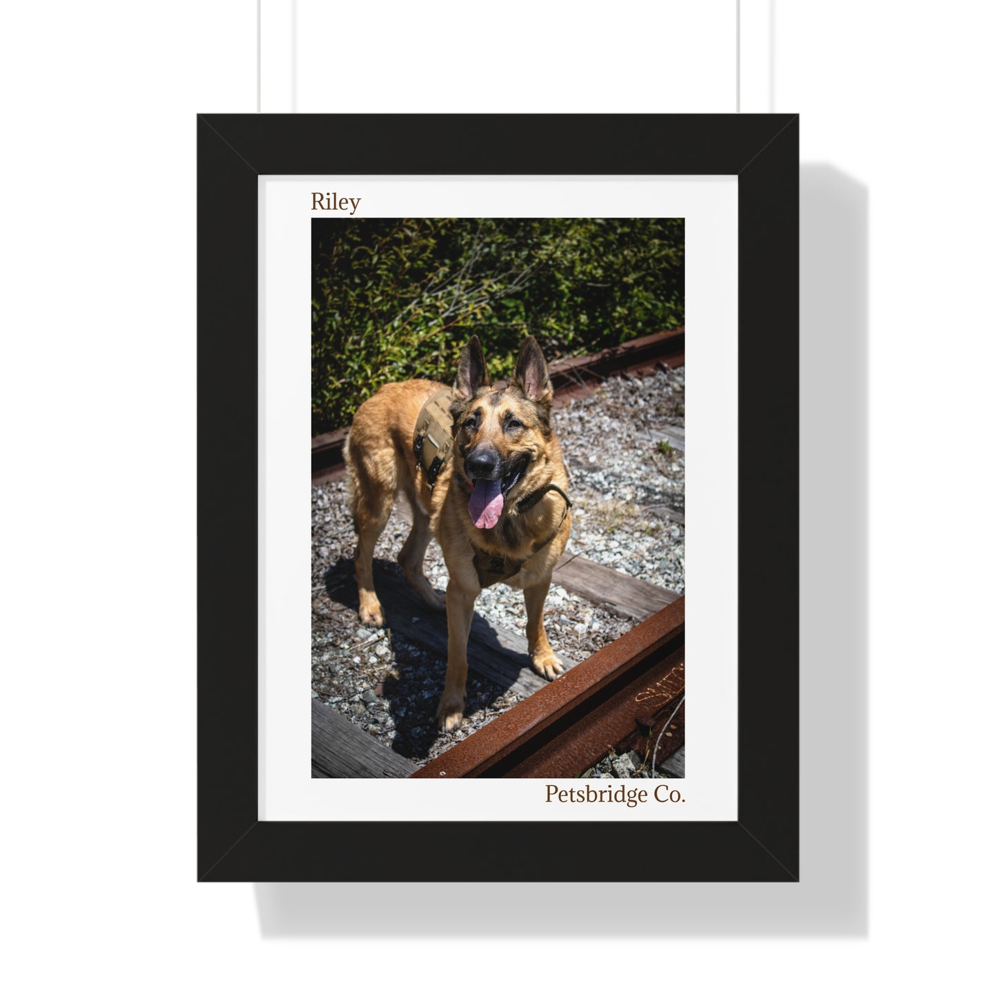 Memorable Vertical Pet Portrait