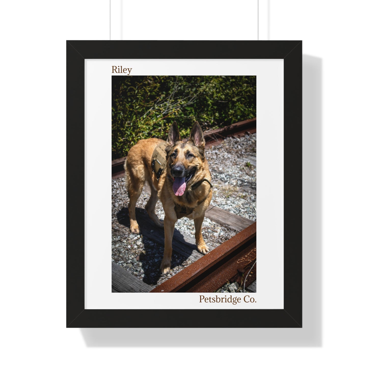 Memorable Vertical Pet Portrait